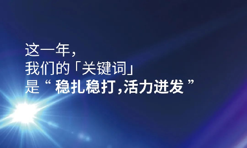 2023这一年，利来囯际APP的关键词是“稳扎稳打，活力迸发”